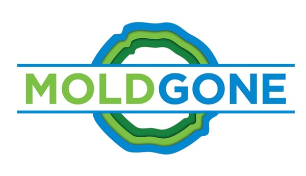 MoldGone by null