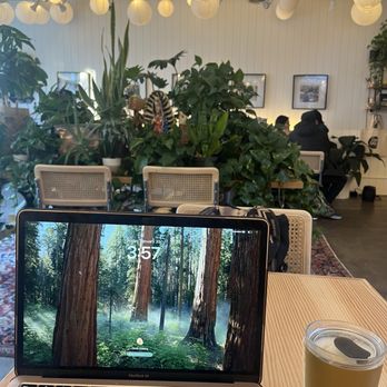 Sundays Coffee - Coffee & Tea Near Me - Seattle, Washington