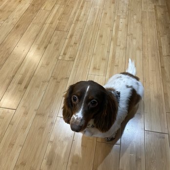 House of Paws - Pet Groomers Near Me - Chicago, Illinois House of Paws - Pet Groomers Near Me - Chicago, Illinois