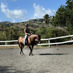 Aloha Riding Lessons