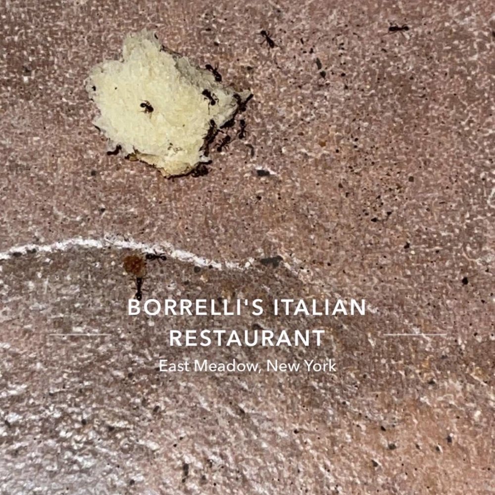 Borrelli's - There were more everywhere. - Italian Near Me - East Meadow, New York Borrelli's - There were more everywhere. - Italian Near Me - East Meadow, New York