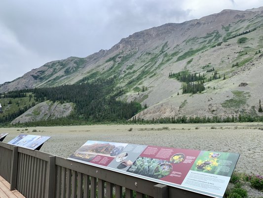 Kluane National Park and Reserve by null