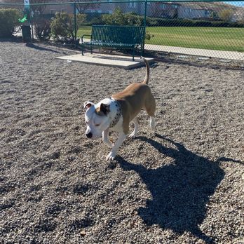 Markley Creek Dog Park - This is my dog @ the dog park. With the park you walk thru to get to the dog park. - Dog Parks Near Me - Antioch, California