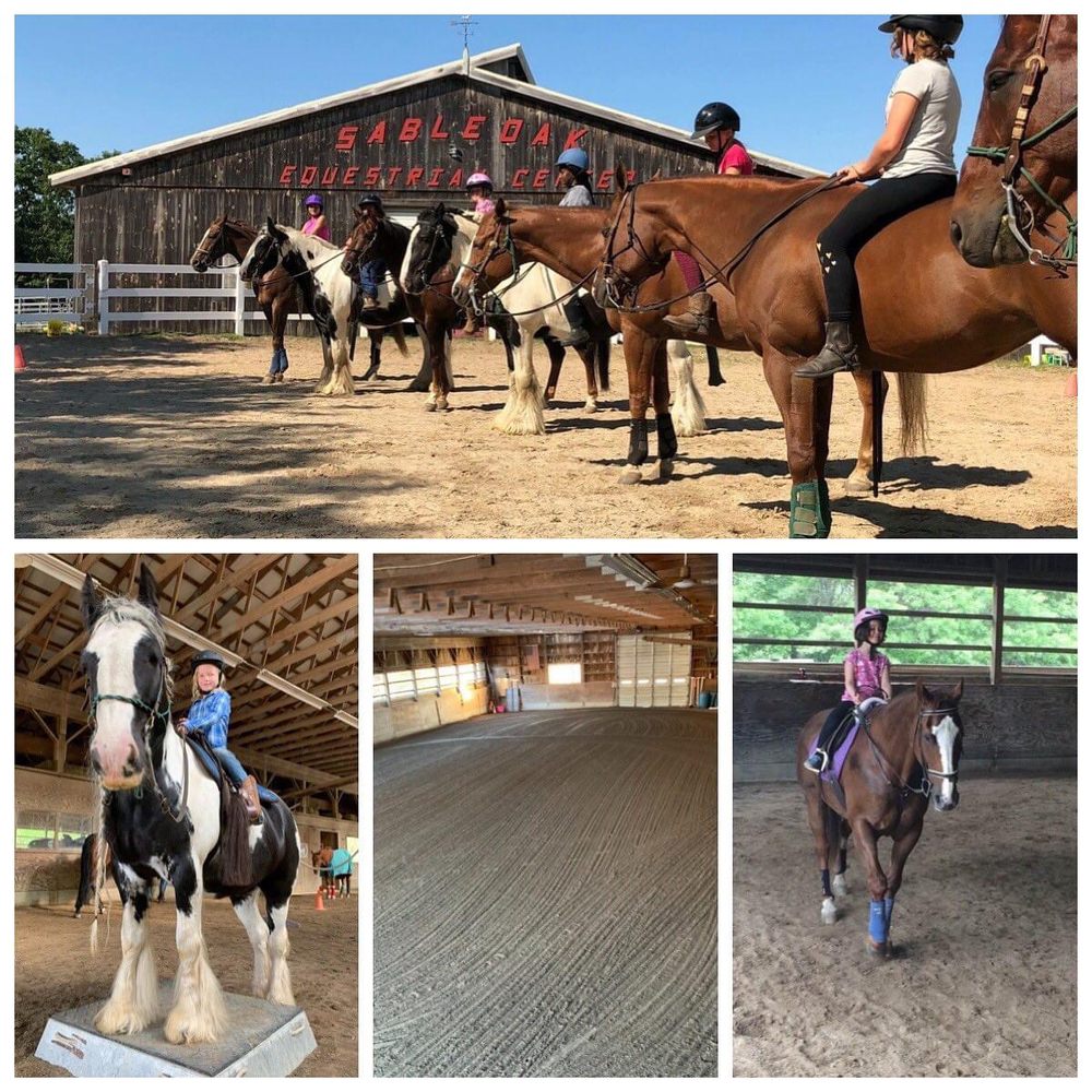 Sable Oak Equestrian Center - equestrian in Brunswick, ME