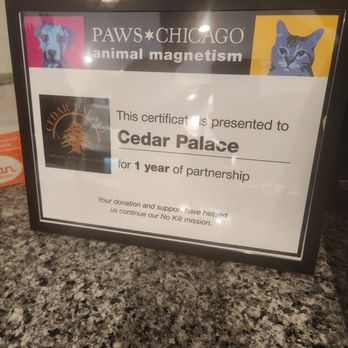 Cedar Palace - Lebanese Near Me - Chicago, Illinois