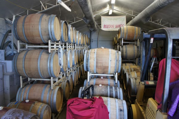 BobDog Wines by null