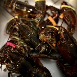 99 Ranch Market - 4 lobsters - $50
