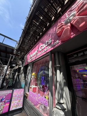 Sweet Cats Union Square by null