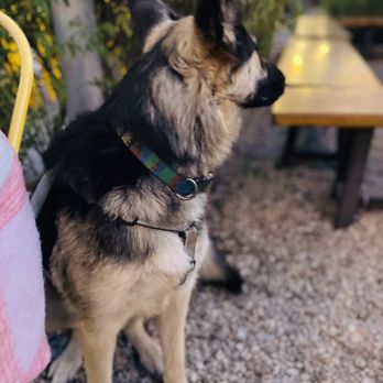 Benny Boy Brewing - Hanging out at Bb with lil miss Ella - Breweries Near Me - Los Angeles, California Benny Boy Brewing - Hanging out at Bb with lil miss Ella - Breweries Near Me - Los Angeles, California