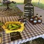 Photo of Townline farm Woodbridge ct