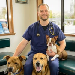 Phoenix Animal Hospital - Dr. Glen Winters, DVM, MS