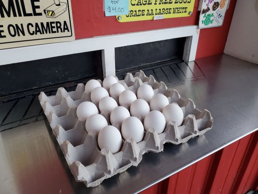 Glaum Egg Ranch by null