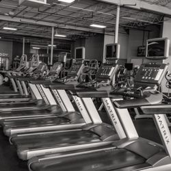 Gold's Gym - Treadmills