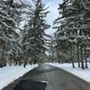 Como Lake Park gift card