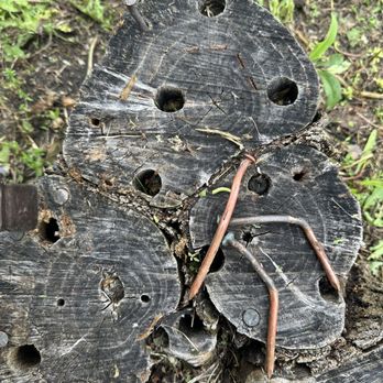 Krause Tree and Excavation - Always fun finding metal in tree stumps - Tree Services Near Me - Houtzdale, Pennsylvania Krause Tree and Excavation - Always fun finding metal in tree stumps - Tree Services Near Me - Houtzdale, Pennsylvania