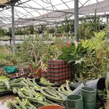 Sunrise Trading Company - Nurseries & Gardening Near Me - Kenner, Louisiana Sunrise Trading Company - Nurseries & Gardening Near Me - Kenner, Louisiana