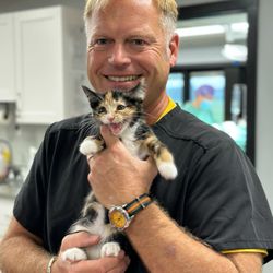 Wheatland Animal Hospital