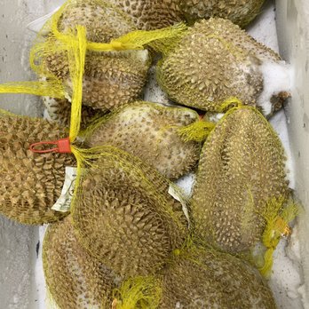 Double Dragon Food Market - Lots of Monthong durian!!! $3.29/lb! They had Musang King variety too, but it was a lot more expensive - Grocery Near Me - Des Moines, Iowa Double Dragon Food Market - Lots of Monthong durian!!! $3.29/lb! They had Musang King variety too, but it was a lot more expensive - Grocery Near Me - Des Moines, Iowa