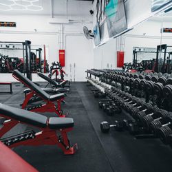 Kingdom Fitness