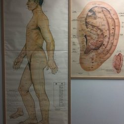 Kan-Sai Health Center - Acupuncture Pressure Points