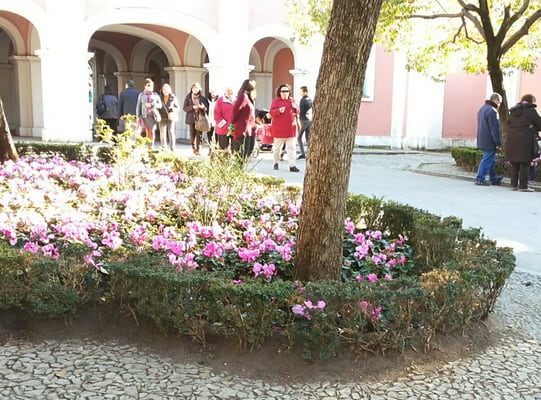 Parque de la Quinta de los Molinos by null