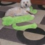 Photo of The Mutt Hutt Grooming Salon By Bobie