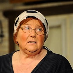de Laboer Lachmöwen