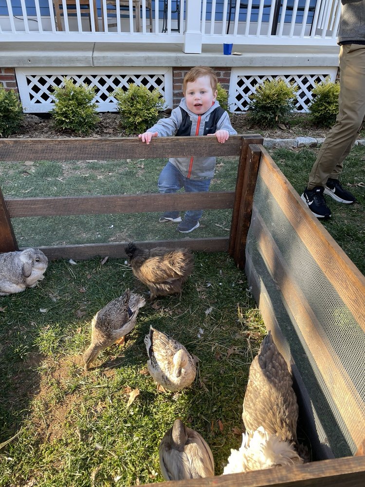 Mary's Go Round Pony Rides and Petting Zoo - equestrian in Waldorf, MD