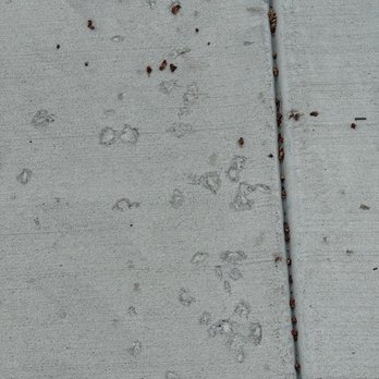 Total Paving and Brick Services - General Contractors Near Me - Park City, Illinois