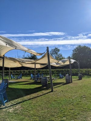 Borghese Vineyard by null