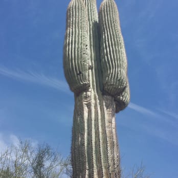 Piestewa Peak - Parks Near Me - Phoenix, Arizona Piestewa Peak - Parks Near Me - Phoenix, Arizona