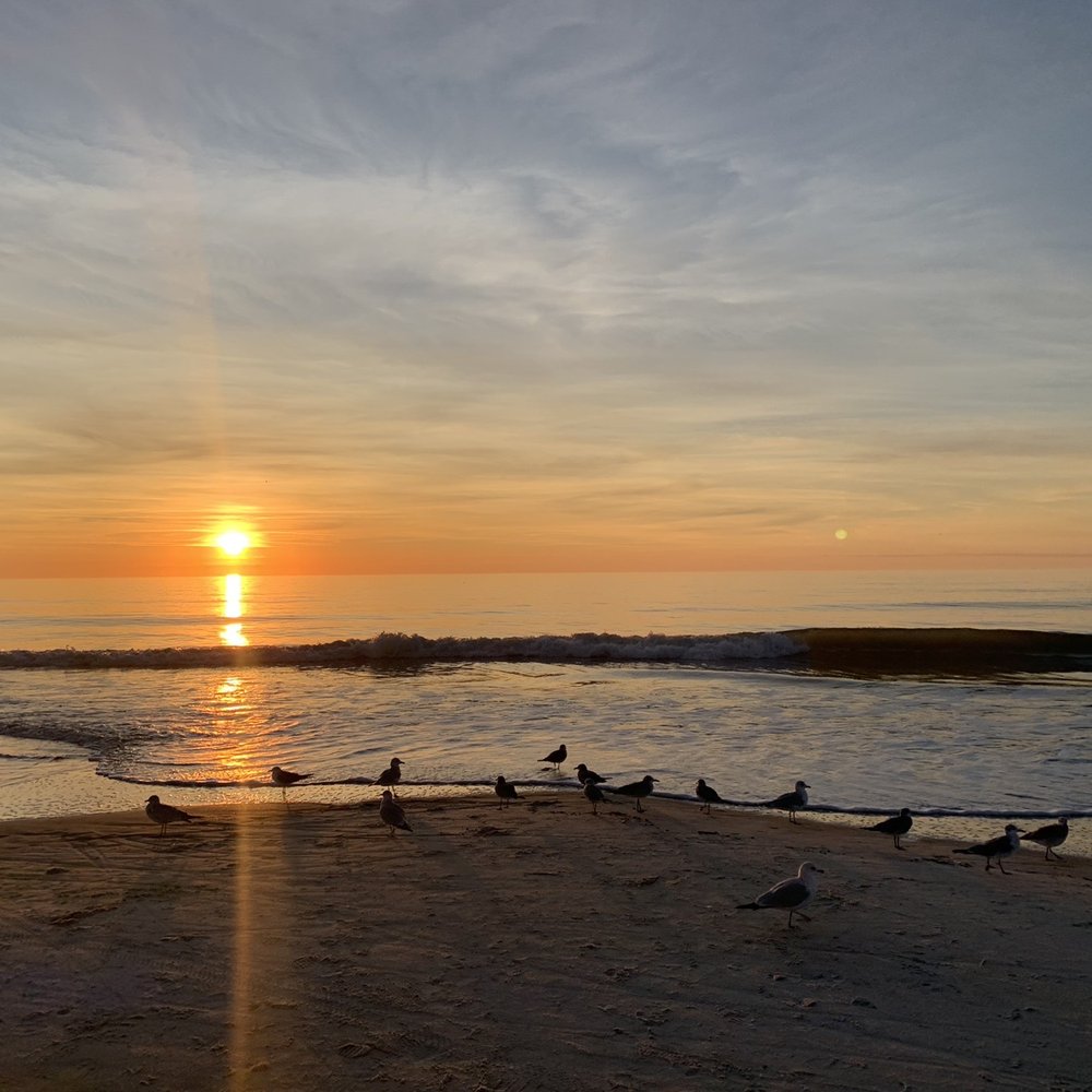Beach House - Hotels Near Me - Hilton Head, South Carolina Beach House - Hotels Near Me - Hilton Head, South Carolina