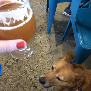 Bauhaus Brew Labs - Jelly Garcia Pup + double IPA - Breweries Near Me - Minneapolis, Minnesota Bauhaus Brew Labs - Jelly Garcia Pup + double IPA - Breweries Near Me - Minneapolis, Minnesota