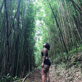 Makiki-Manoa Cliffs Hike - Bamboo area was my favorite - Hiking Near Me - Honolulu, Hawaii Makiki-Manoa Cliffs Hike - Bamboo area was my favorite - Hiking Near Me - Honolulu, Hawaii