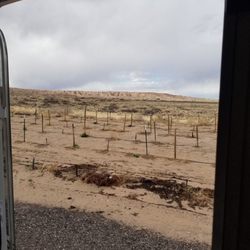 Black's Smuggler Winery - Looking out my camper