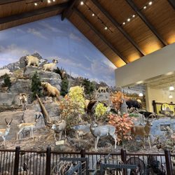 Bass Pro Shops - Animal gang