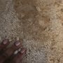 Photo of California Carpet