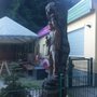Photo of Tonis Haus der Steine