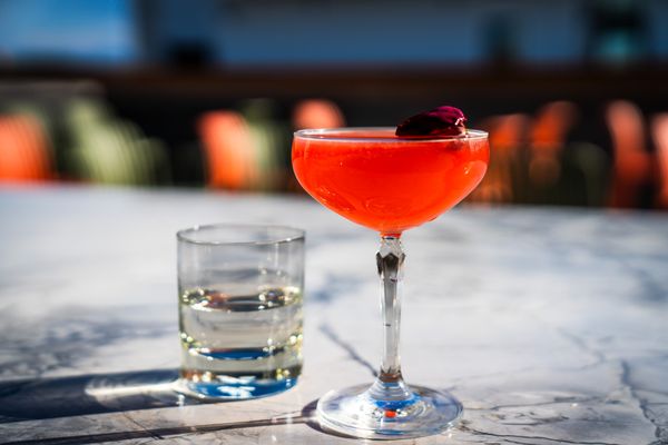 Rose & Thorn by null