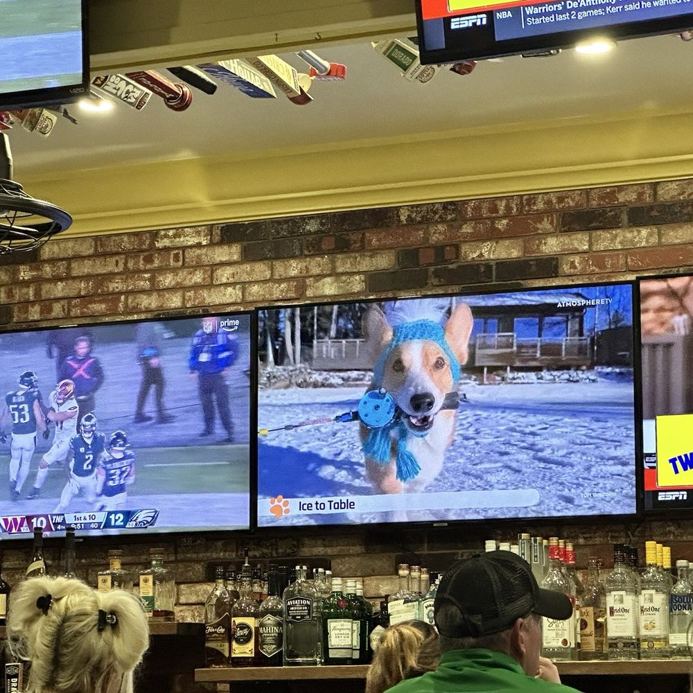 Cute, funny dog videos in between sporting events haha!