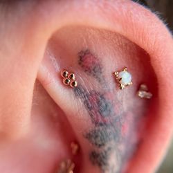 Ten Tigers Body Piercing - Flat piercings with rose gold jewelry from Anatometal and Buddha Jewelry