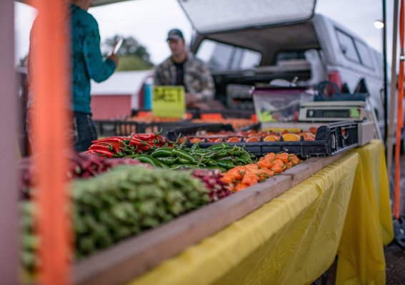 Columbia Farmers Market by null