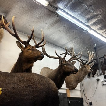 Grandpa's Pawn & Gun - Guns & Ammo Near Me - Longmont, Colorado Grandpa's Pawn & Gun - Guns & Ammo Near Me - Longmont, Colorado