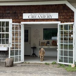 Sunflower Farm Creamery - Don Pedro Welcomes me to yoga every time