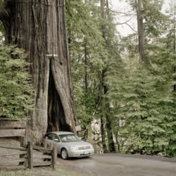 Humboldt County Visitors Bureau