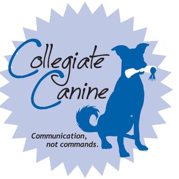Collegiate Canine - Pet Training Near Me Collegiate Canine - Pet Training Near Me