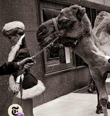 Radio City Music Hall by null