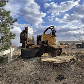 A&R Tree - Tree Services Near Me - Frederick, Colorado