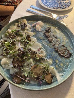 Mayssa Beach by null