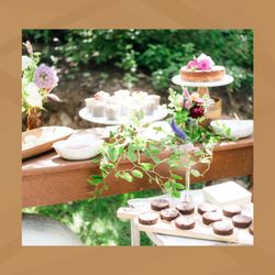 The Plant - Dessert bar
